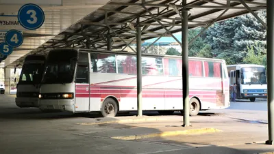 , фото - Новости Zakon.kz от 07.11.2025 16:36