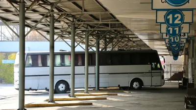 Междугородние автобусы, междугородный автобус, межгород, фото - Новости Zakon.kz от 27.05.2025 12:19