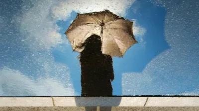 Дожди, туман и сильный ветер: прогноз погоды в Казахстане на 20 марта, фото - Новости Zakon.kz от 19.03.2025 18:14