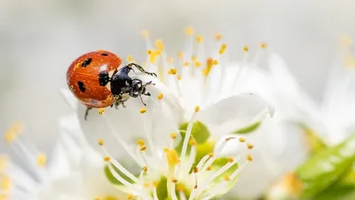 20 марта, день весеннего равноденствия, приметы и традиции, фото - Новости Zakon.kz от 19.03.2025 11:11