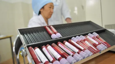 Городской центр крови, донор крови, донорская кровь, донорство крови, сдача крови, переливание крови, фото - Новости Zakon.kz от 06.10.2025 10:58