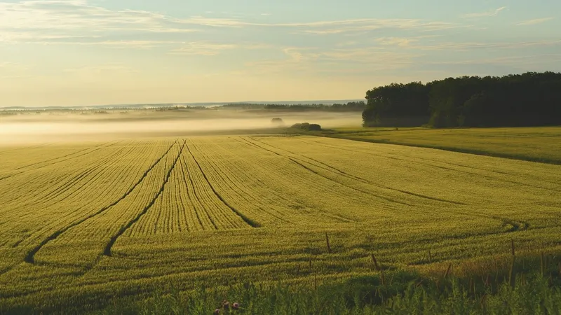 Базарбек: В госсобственность возвращено 12 млн гектаров земли
