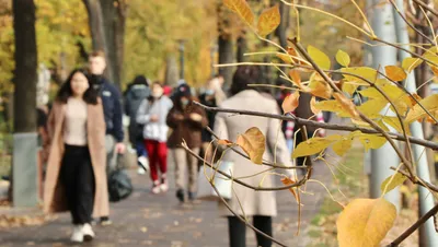 Перепись населения, население, численность населения, население Казахстана, население РК, рост населения, рост населения в РК, рост населения в Казахстане, народ, казахстанцы, фото - Новости Zakon.kz от 18.10.2025 08:40
