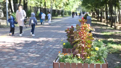Перепись населения, население, численность населения, население Казахстана, население РК, рост населения, рост населения в РК, рост населения в Казахстане, народ, казахстанцы, сурет - Zakon.kz жаңалық 01.07.2025 09:12