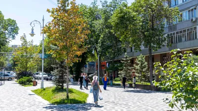 Перепись населения, население, численность населения, население Казахстана, население РК, рост населения, рост населения в РК, рост населения в Казахстане, народ, казахстанцы, фото - Новости Zakon.kz от 27.08.2025 08:52