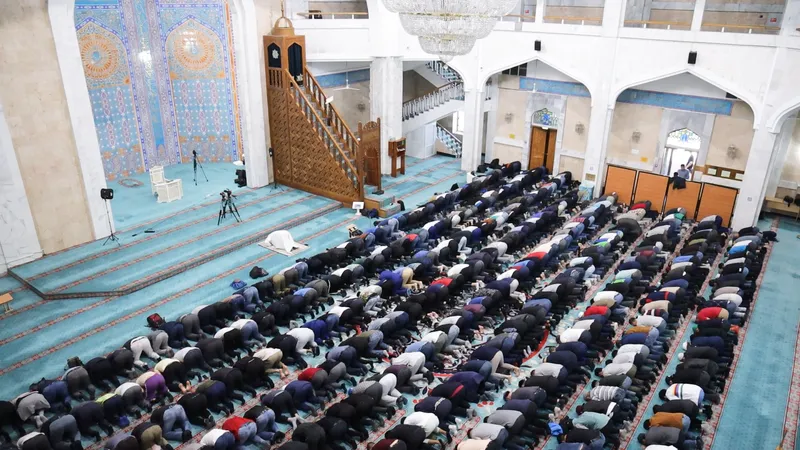 Нәзік аққұбаны ұрды