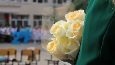 1 сентября, первое сентября, школьная линейка, День знаний, первый звонок, цветы для учителя, сурет - Zakon.kz жаңалық 29.10.2025 11:40