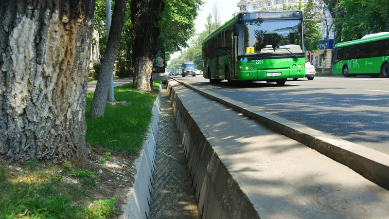 Арык, арыки, арычная система