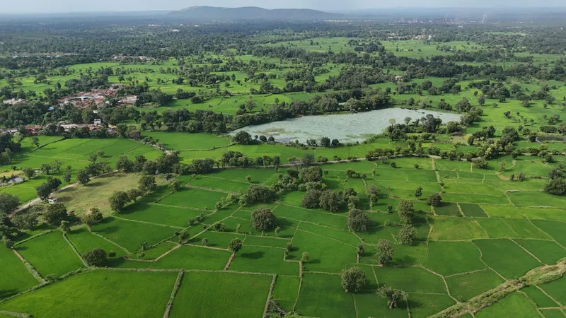 21 тысячу гектар земли изъяли у экс-чиновников и миллионеров из списка Forbes