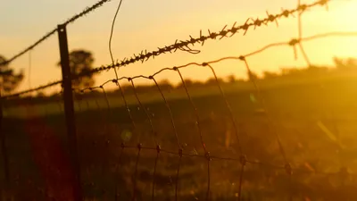 Пограничные пункты, пограничный пункт, международные пункты пропуска, международный пункт пропуска, пункт пропуска, пункты пропуска, государственная граница, государственные границы, пересечение границы, прохождение границы, переход границы, пограничная зона, погранзона, фото - Новости Zakon.kz от 10.09.2025 15:24