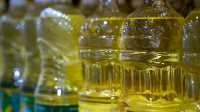 Подсолнечное масло, растительное масло , сурет - Zakon.kz жаңалық 23.09.2025 16:38