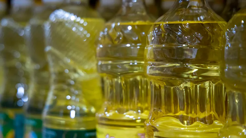 Импорт көлеміндей экспорт та бар – АШМ басшысы күнбағыс майы жайлы