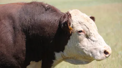 , фото - Новости Zakon.kz от 23.09.2025 14:33