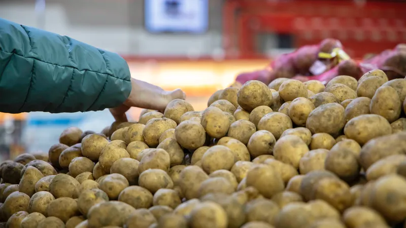 Зачем Казахстан импортирует картофель при избытке отечественного продукта