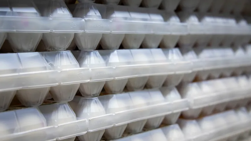 Қазақстанда жұмыртқа импортына уақытша тыйым салынды