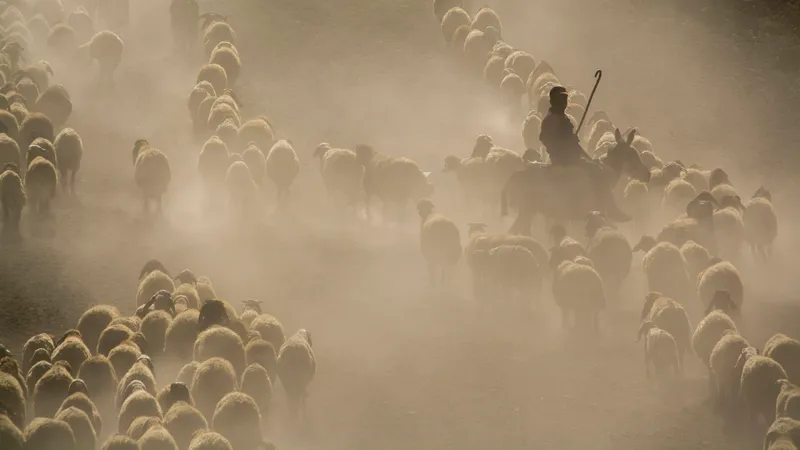 Қызылорда облысында бақташылар жоғалып кетті