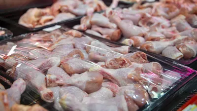 Куриное мясо, курица, мясо птицы, мясной отдел, курятина, фото - Новости Zakon.kz от 08.10.2025 15:15