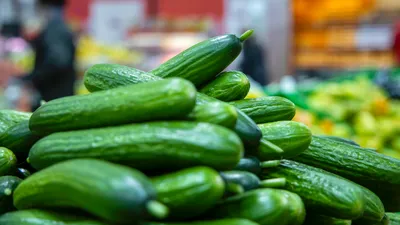 , фото - Новости Zakon.kz от 11.08.2025 15:45