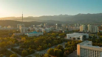 , фото - Новости Zakon.kz от 05.06.2025 13:02