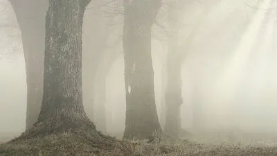 штормовое предупреждение объявили в Казахстане, фото - Новости Zakon.kz от 31.03.2025 18:15