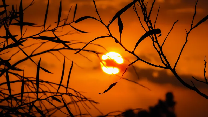 28-градусная жара вскоре нагрянет в Казахстан