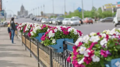 Астана, город Астана, достопримечательности Астаны, столица Казахстана, пейзаж Астаны, виды Астаны, виды города Астаны, фото - Новости Zakon.kz от 26.05.2025 13:12