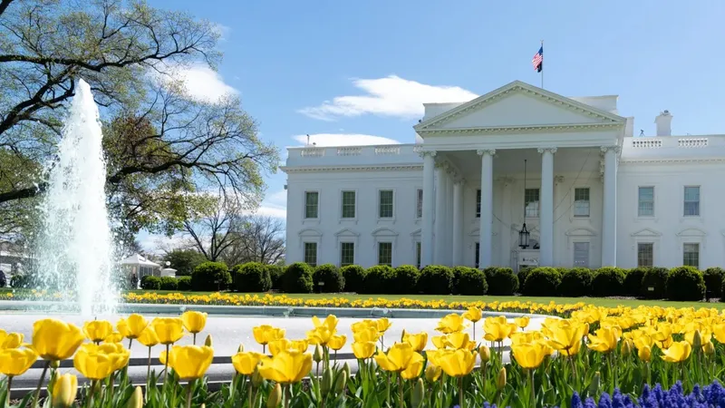 Трамп решил срубить старую магнолию у Белого дома