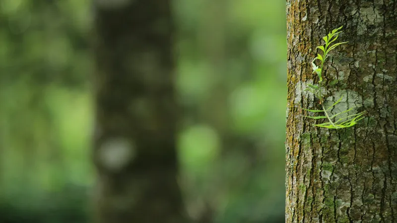 Ботанический сад Алматы объявил об изменениях в работе с 1 апреля