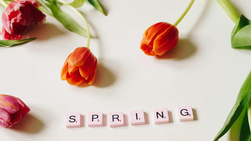 Какой будет погода в апреле в Казахстане, фото - Новости Zakon.kz от 01.04.2025 13:38