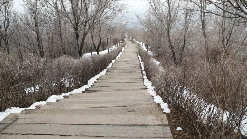 Безопасно, красиво, удобно: новая тропа на "Кок-Тобе" впечатлила алматинцев