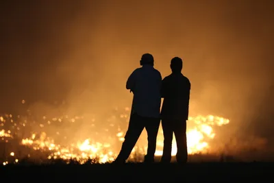 Степной пожар, степные пожары, пожар в степи, тушение пожара, фото - Новости Zakon.kz от 26.09.2025 20:09