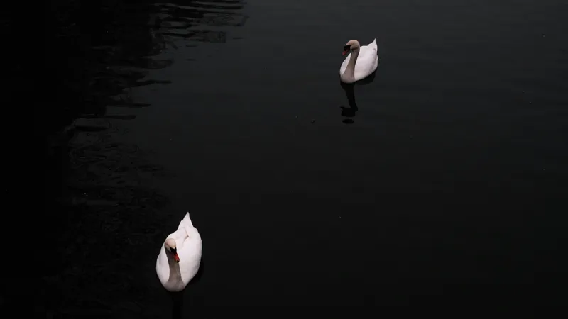 Ботсад Алматы объявил о запрете для посетителей