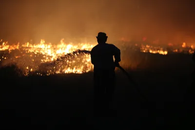 Степной пожар, степные пожары, пожар в степи, тушение пожара, фото - Новости Zakon.kz от 27.07.2025 14:59