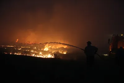 Степной пожар, степные пожары, пожар в степи, тушение пожара, фото - Новости Zakon.kz от 30.06.2025 17:38