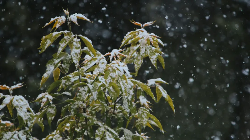 Сильные осадки надвигаются на Казахстан