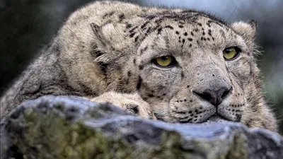 , фото - Новости Zakon.kz от 02.05.2025 11:03