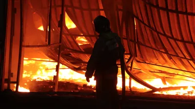 , фото - Новости Zakon.kz от 18.11.2025 12:48