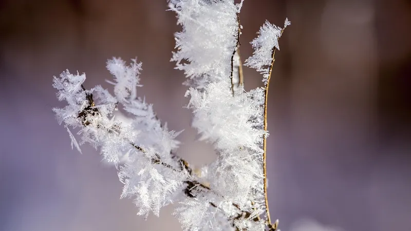 Морозы возвращаются: в Астане и 15 областях объявили штормовое предупреждение