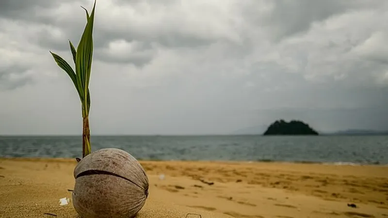 Один из материков Земли погружается в мантию