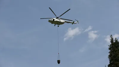 Лесной пожар, лесные пожары, пожар в лесу, горящий лес, природный пожар, возгорание в лесу, сурет - Zakon.kz жаңалық 06.09.2025 16:18