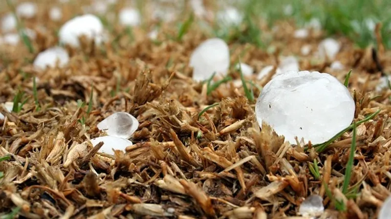 Град, дождь, снег и туман: штормовое предупреждение объявили в 13 областях РК