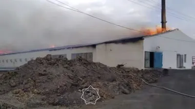 пожар в Карагандинской области, фото - Новости Zakon.kz от 04.04.2025 18:53