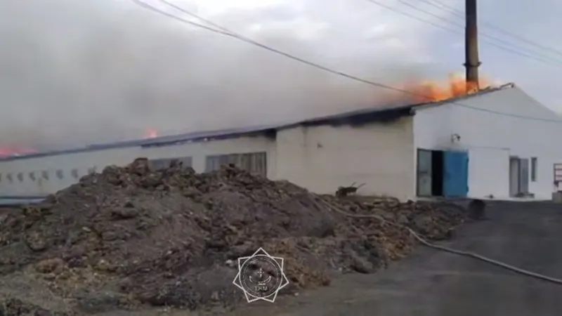 Мощный пожар охватил птицефабрику в Карагандинской области