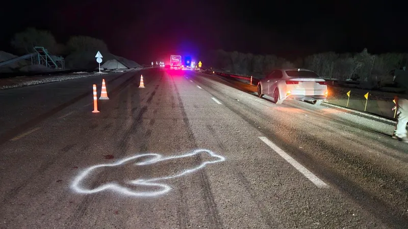 Выскочил на дорогу из темноты: на трассе Алматы – Бишкек насмерть сбили мужчину