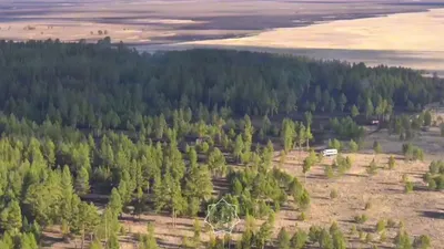 Лесной пожар в области Абай: МЧС показало масштабы, фото - Новости Zakon.kz от 05.04.2025 09:25