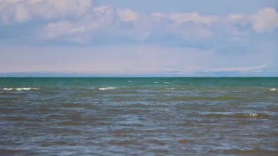 , фото - Новости Zakon.kz от 29.07.2025 09:58