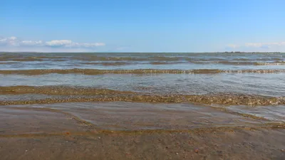 Капчагайское водохранилище, Капчагай, сурет - Zakon.kz жаңалық 29.07.2025 11:46