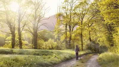 исследование, фото - Новости Zakon.kz от 06.04.2025 18:37