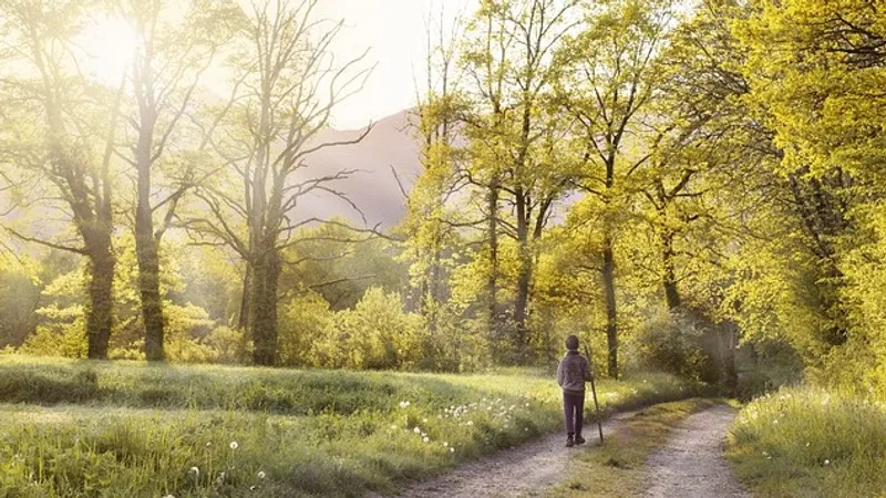 В Южной Корее выяснили, как похудеть без строгих диет