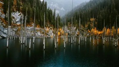 Каинды, озеро Каинды, туризм в Казахстане, туристы, туристические места в Казахстане, природа Казахстана, развитие туризма в Казахстане, сурет - Zakon.kz жаңалық 06.04.2026 22:19